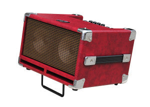 Bass Cub BG-100-Small Practice Amp That Can Be Used Live
